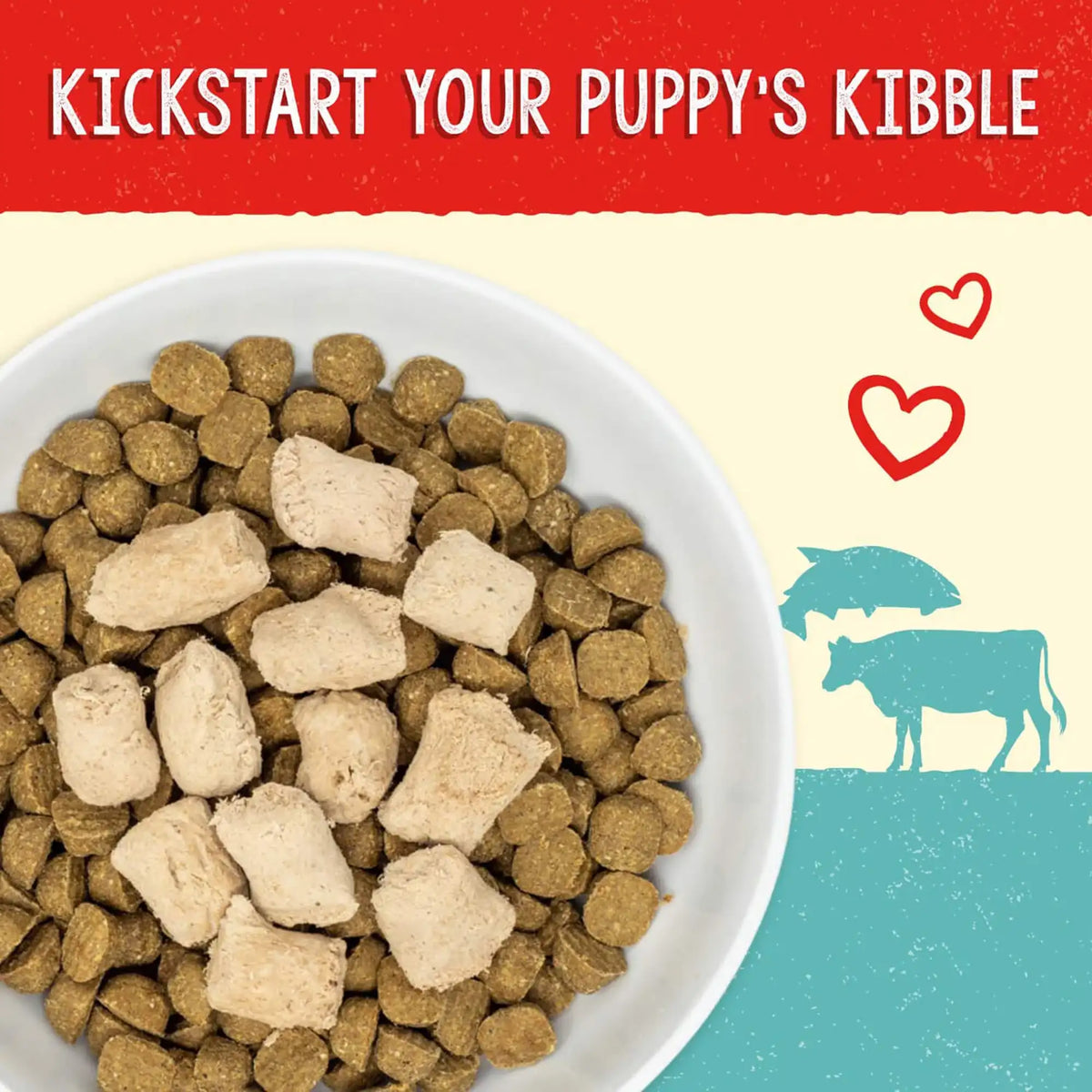 Stella &amp; Chewy&#39;s Freeze-Dried Raw Puppy Beef and Salmon Meal Mixers Dog Food Topper