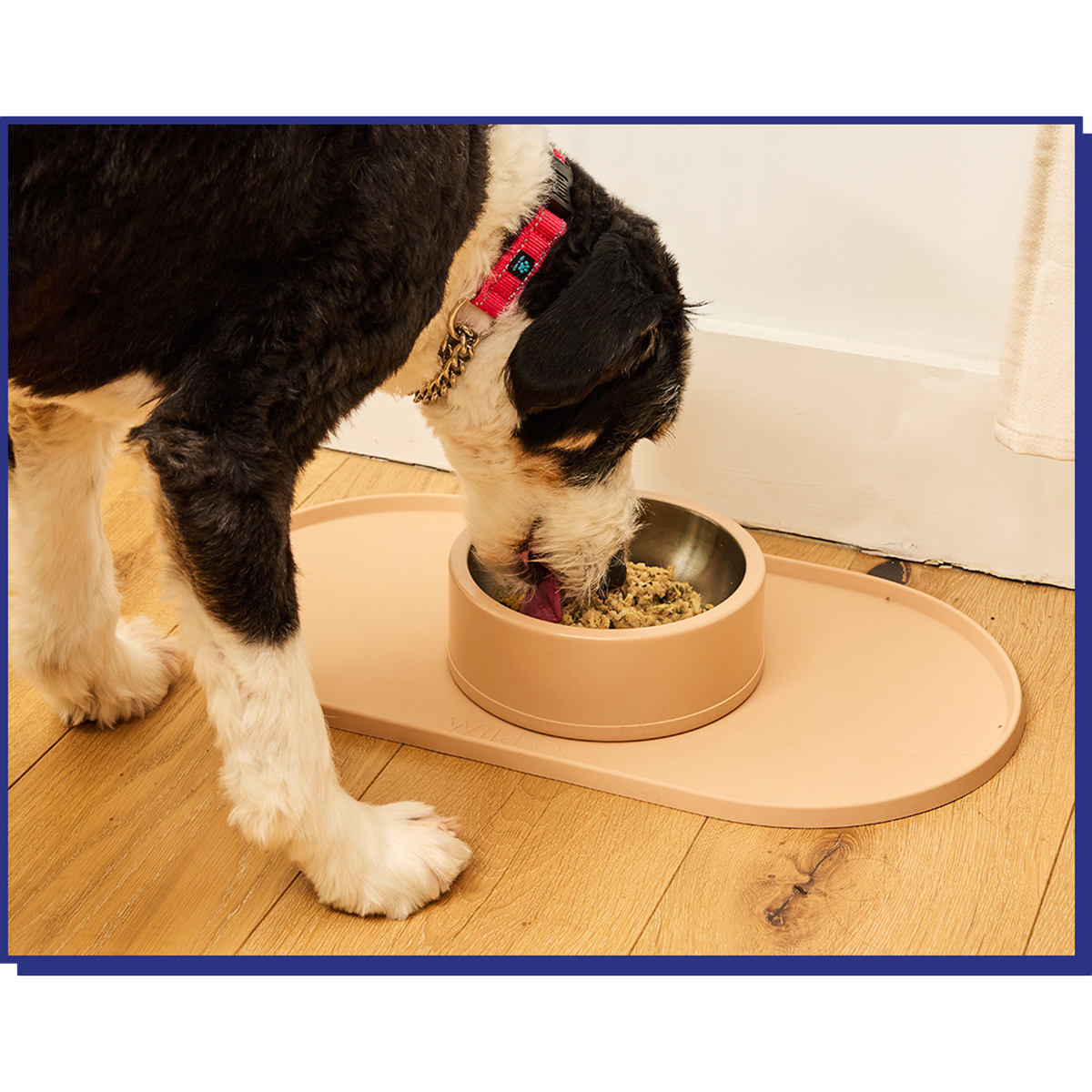 My Perfect Pet Low Phosphorus Pork Blend Gently Cooked Grain Free Frozen Dog Food