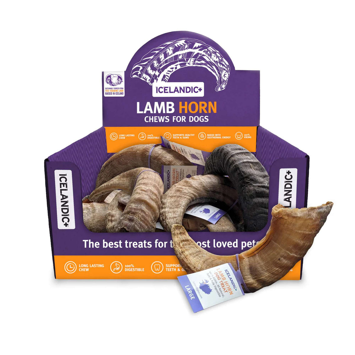 Icelandic+ Lamb Horn Dog Chew