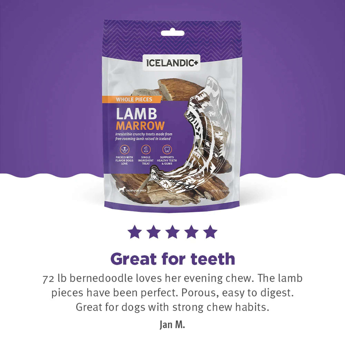 Icelandic+ Lamb Marrow Dog Chew