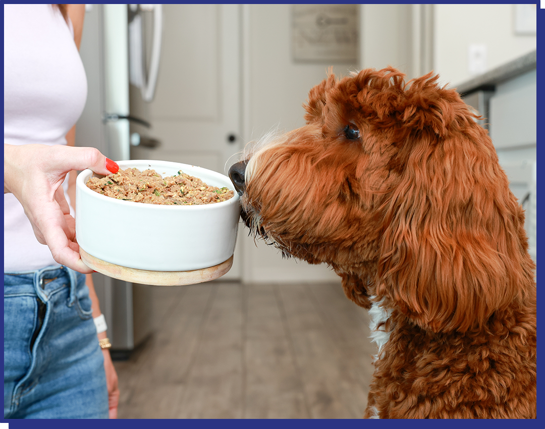 My Perfect Pet Low Fat Cod Blend Gently Cooked Grain Free Frozen Dog Food