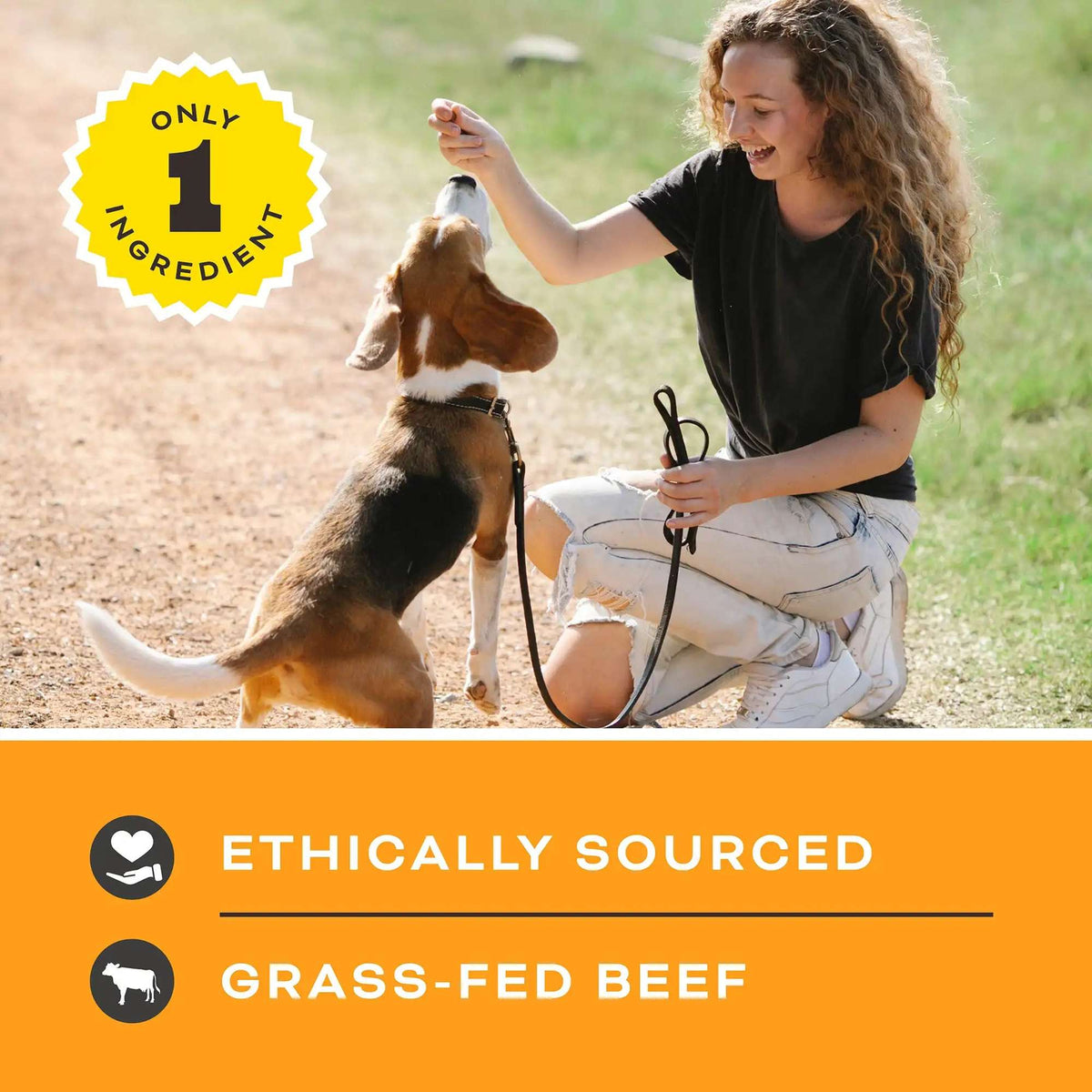 Primal Let&#39;s All Get a Lung! Beef Lung Cube Dog Treats