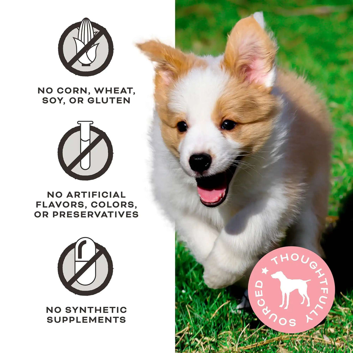 Primal Let&#39;s All Get a Lung! Beef Lung Cube Dog Treats