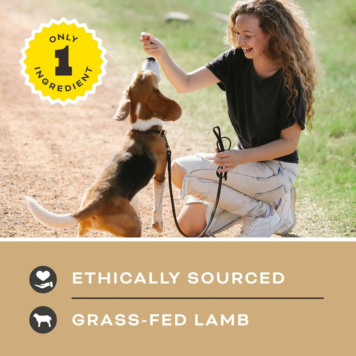 Primal Let&#39;s All Get a Lung! Lamb Lung Cube Dog Treats