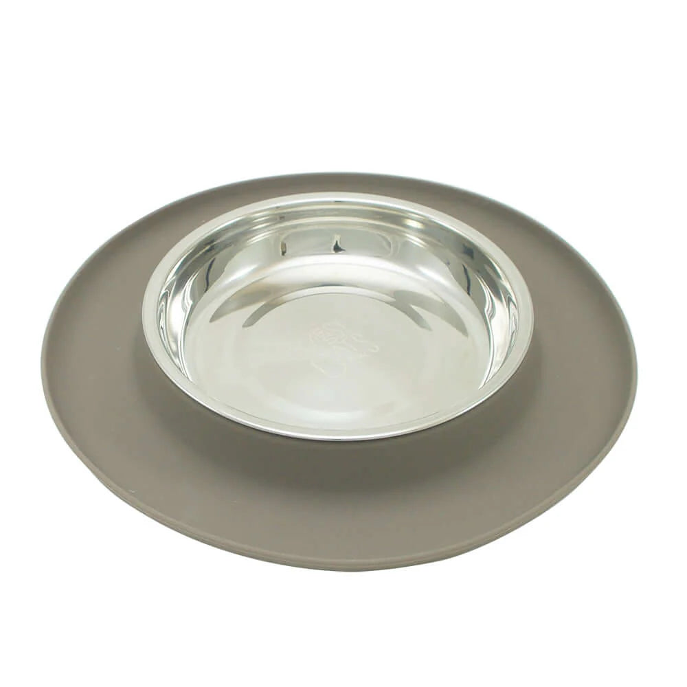 Messy Mutts Single Silicone Cat Bowl with Non-Toxic Stainless Steel Saucer Shaped Bowl