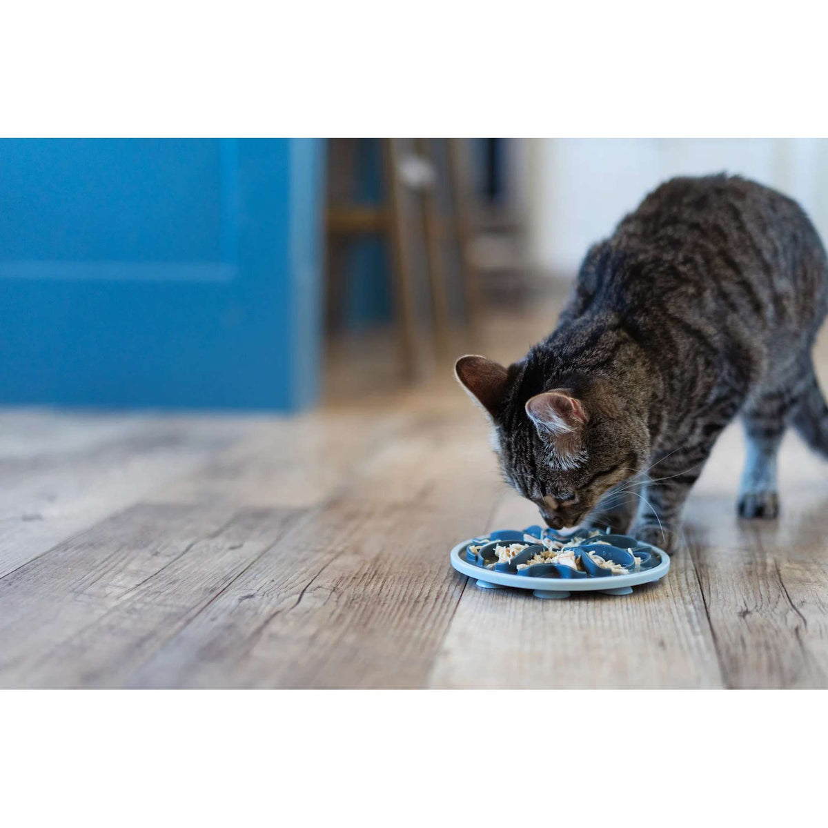 Messy Mutts Interactive Slow Feeder for Cats