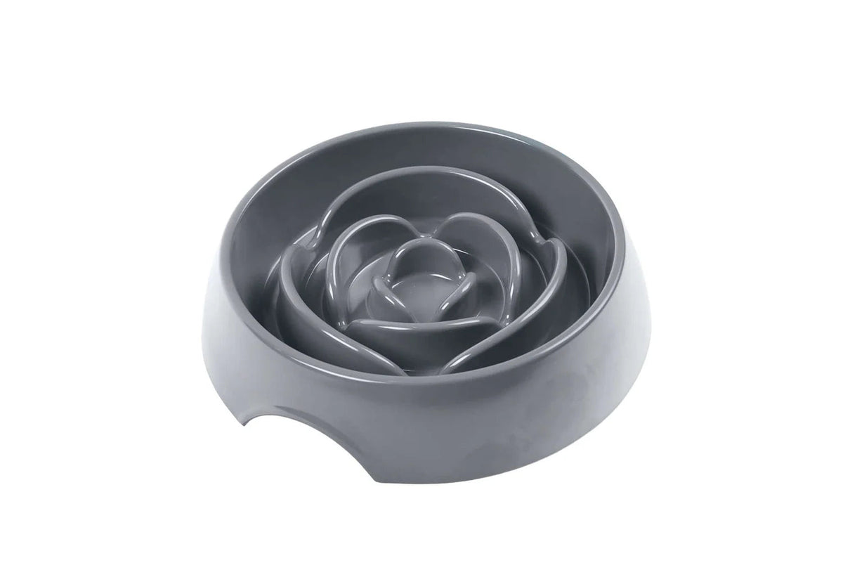 Messy Mutts Slow Feeder for Dogs and Cats