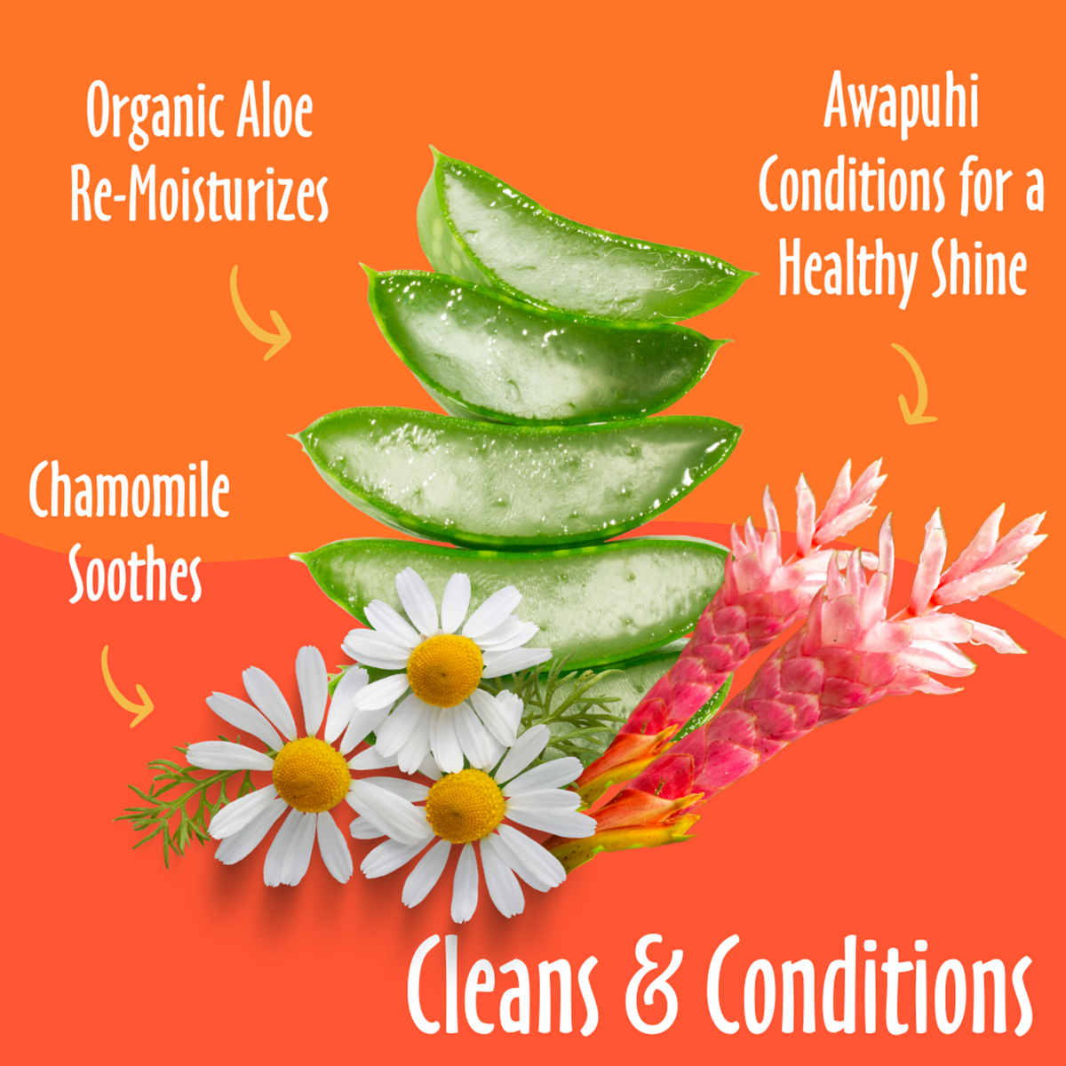 Earthbath Pet Grooming Wipes Mango Tango