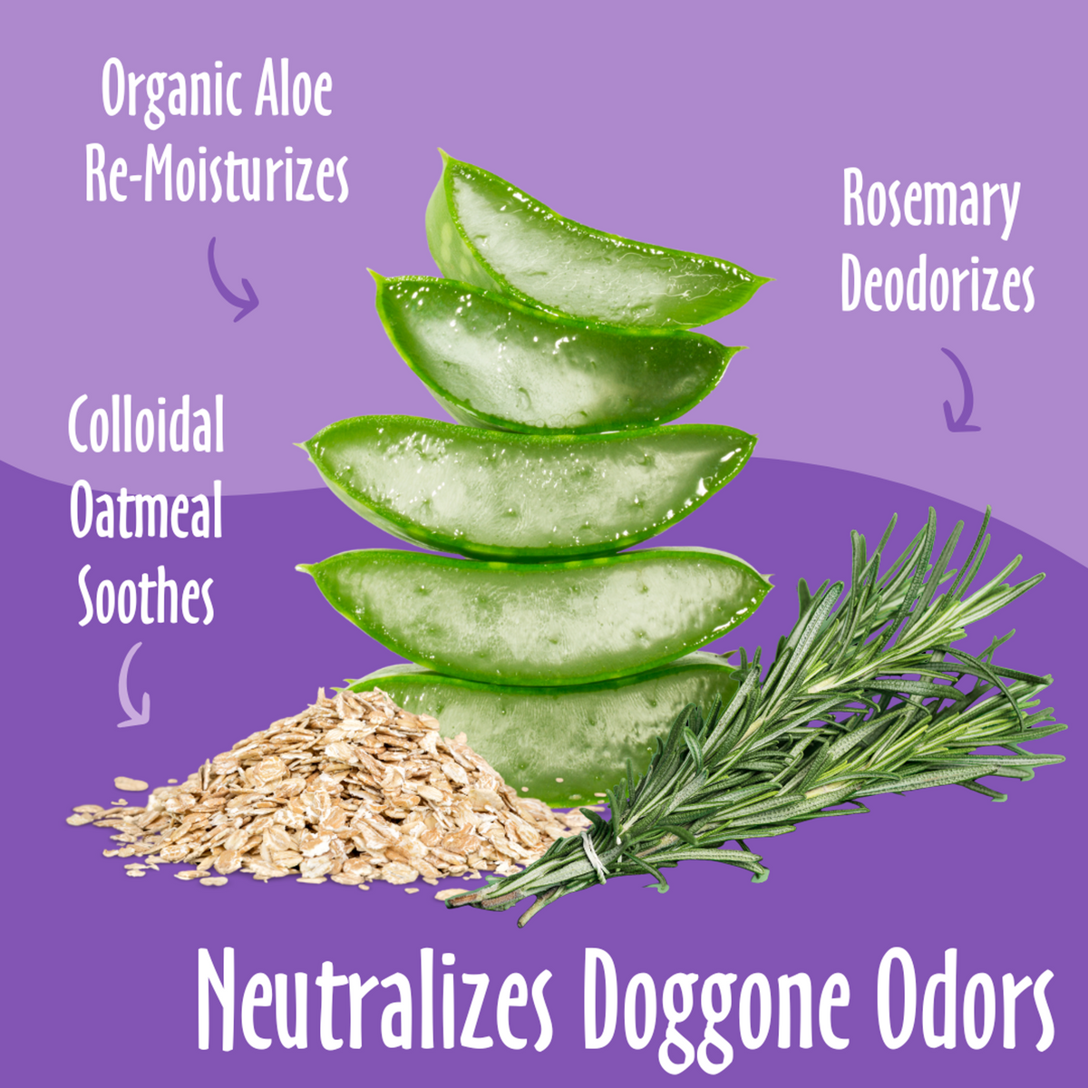 Earthbath Dog 3 In 1 Deodorizing Spritz Mediterranean Magic