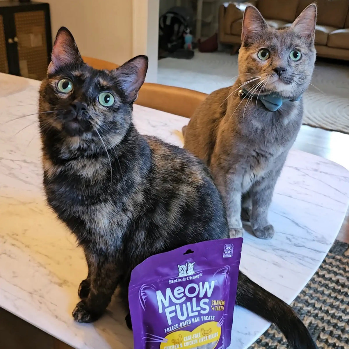 Stella &amp; Chewy&#39;s Freeze-Dried Raw Meowfulls Chicken &amp; Chicken Liver Cat Treats
