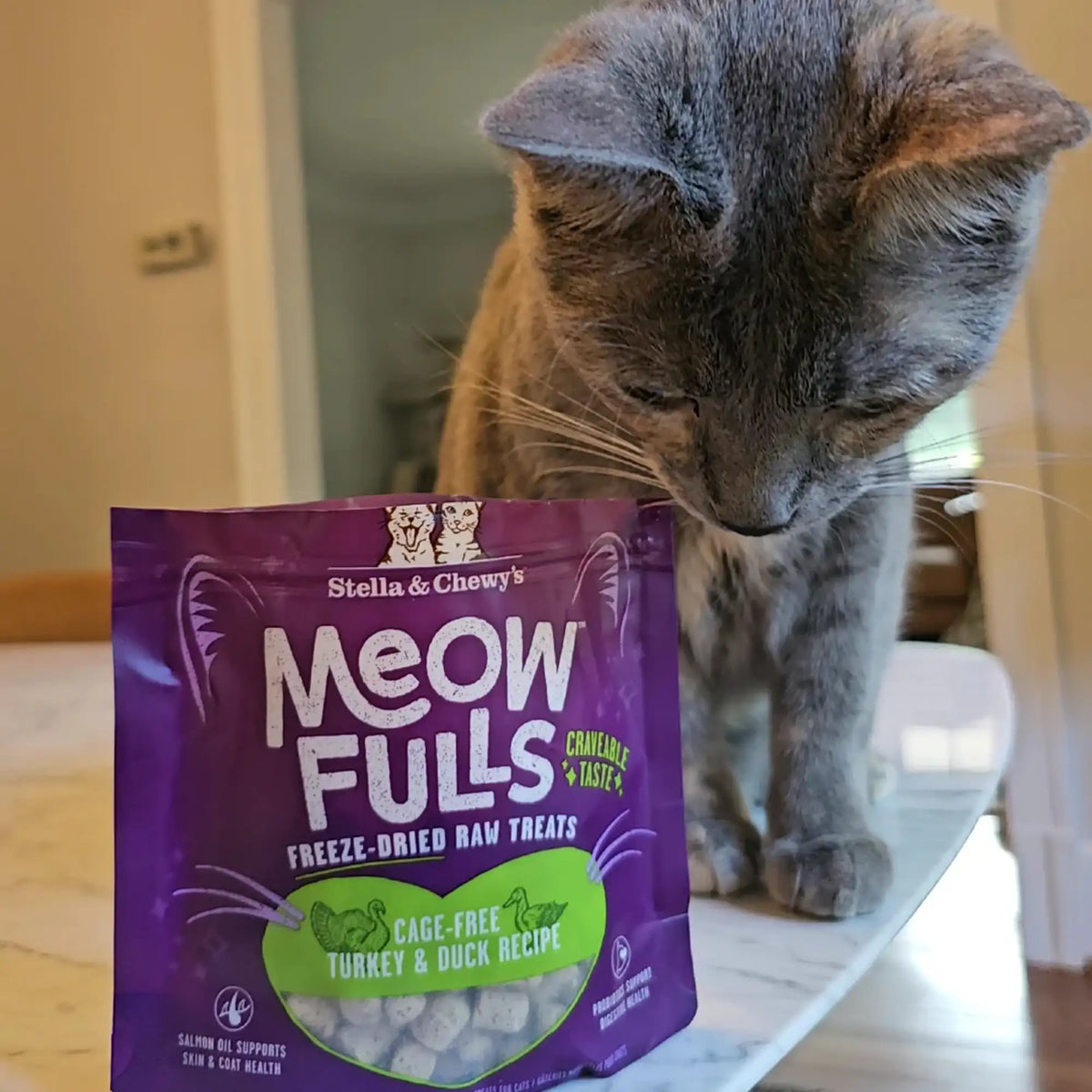 Stella &amp; Chewy&#39;s Freeze-Dried Meowfulls Turkey &amp; Duck Cat Treats