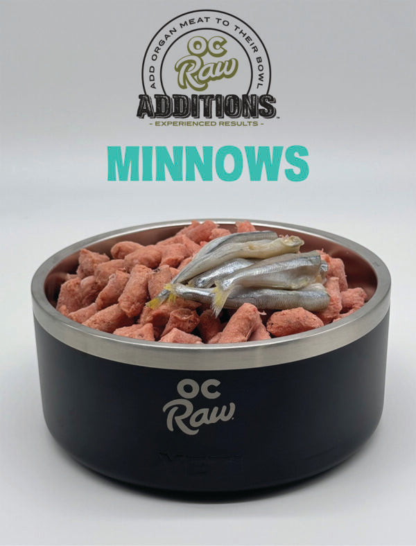 OC Raw Additions Frozen Raw Minnows for Dogs