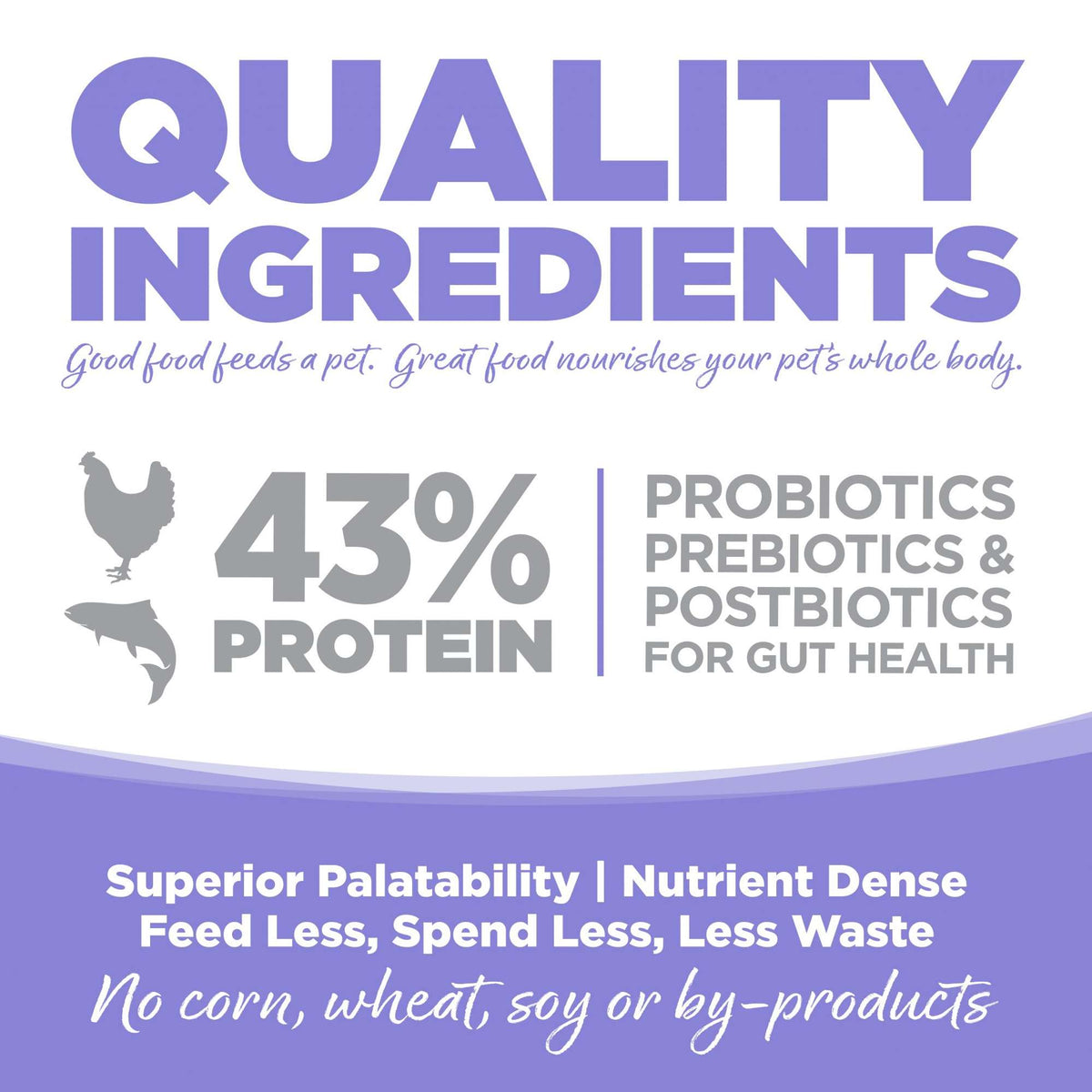 NutriSource Chicken &amp; Salmon Select Cat &amp; Kitten Food