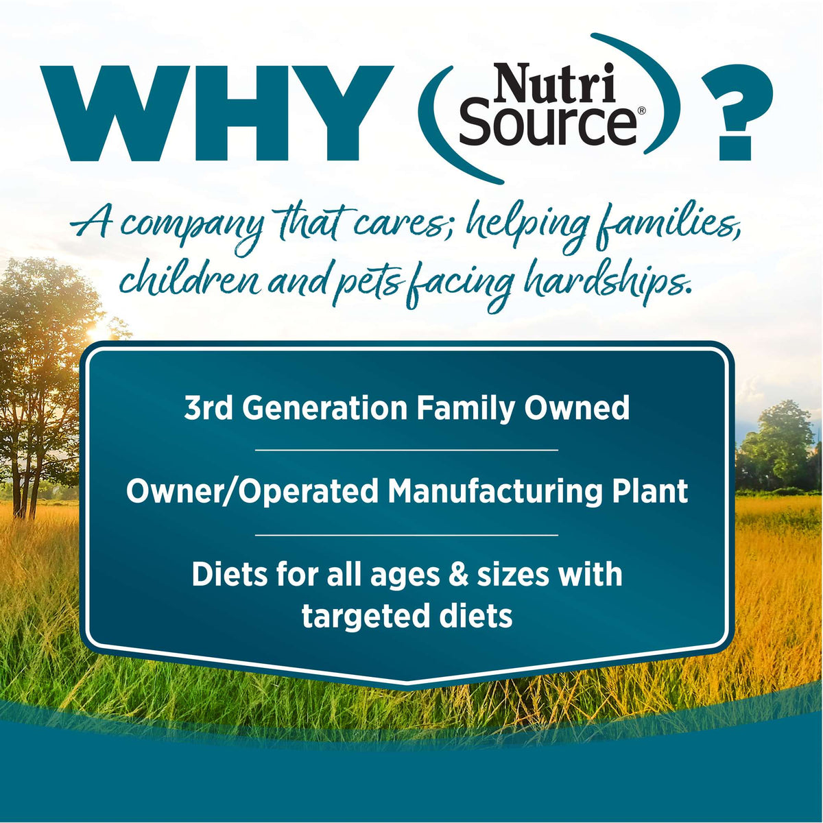 NutriSource Chicken &amp; Rice with Wholesome Grains Dog Food