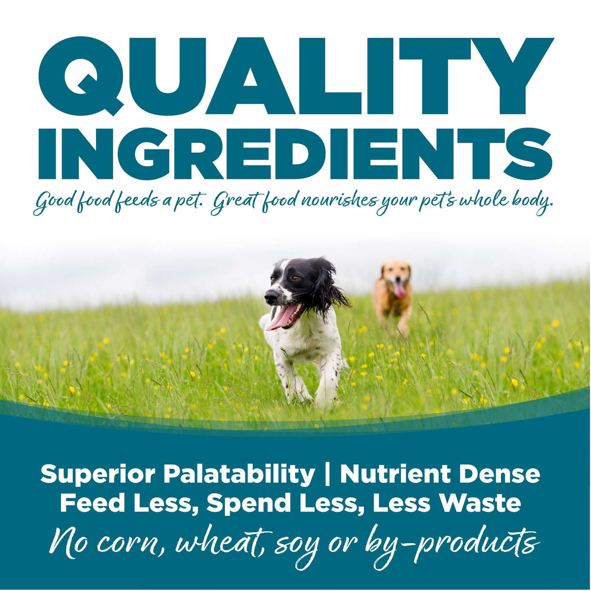 NutriSource Chicken &amp; Rice with Wholesome Grains Dog Food