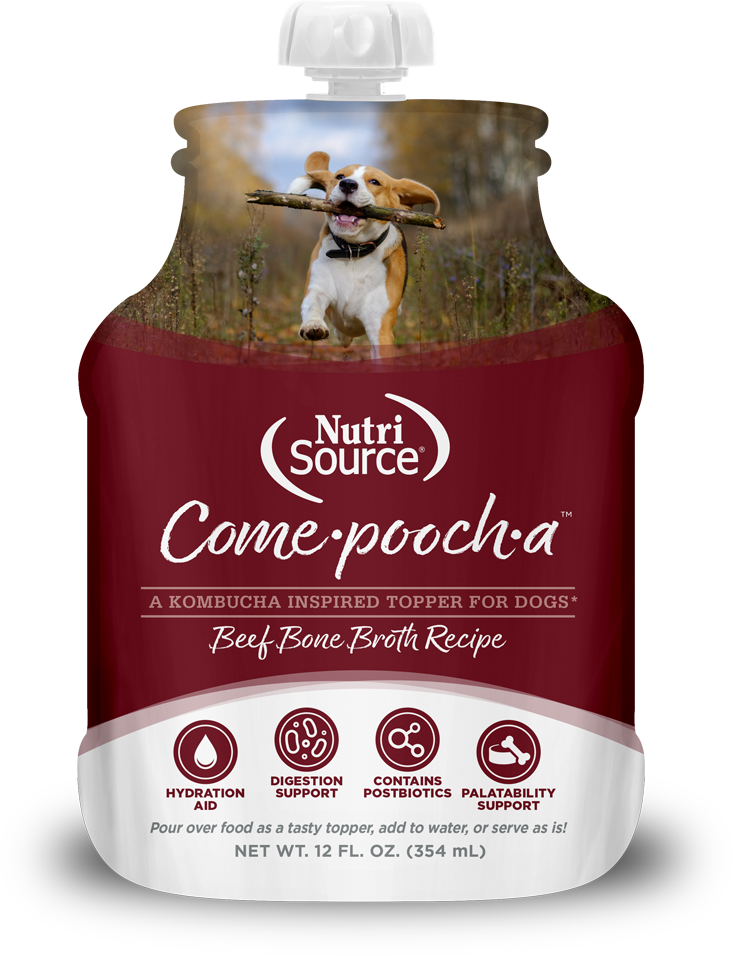 NutriSource Come-Pooch-a Beef Bone Broth for Dogs