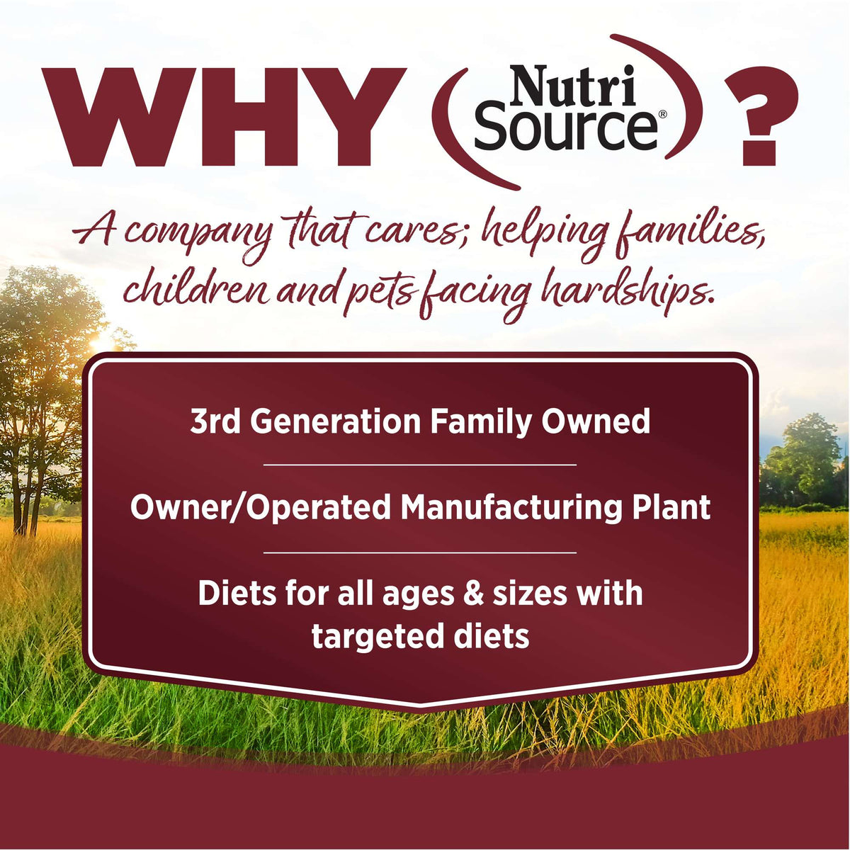 NutriSource Beef &amp; Rice with Wholesome Grains Dog Food