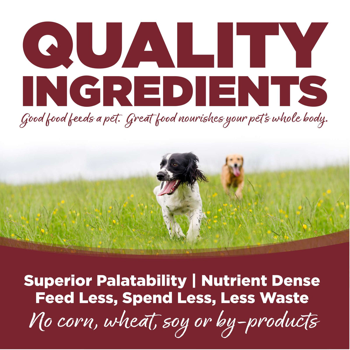 NutriSource Beef &amp; Rice with Wholesome Grains Dog Food