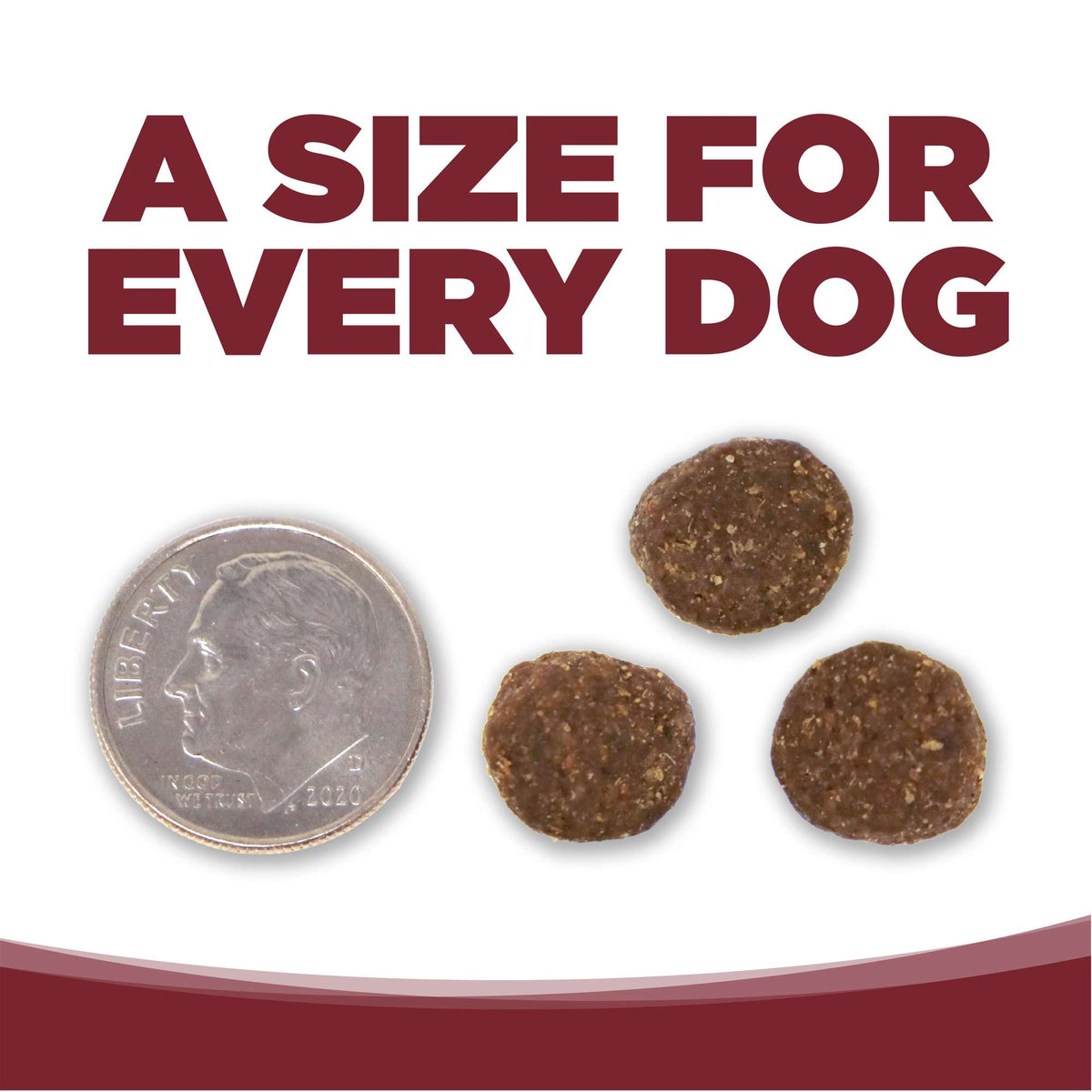 NutriSource Beef &amp; Rice with Wholesome Grains Dog Food