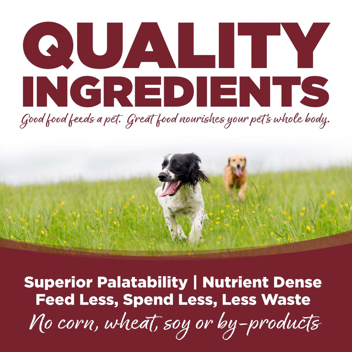 NutriSource Beef &amp; Rice with Wholesome Grains Canned Dog Food
