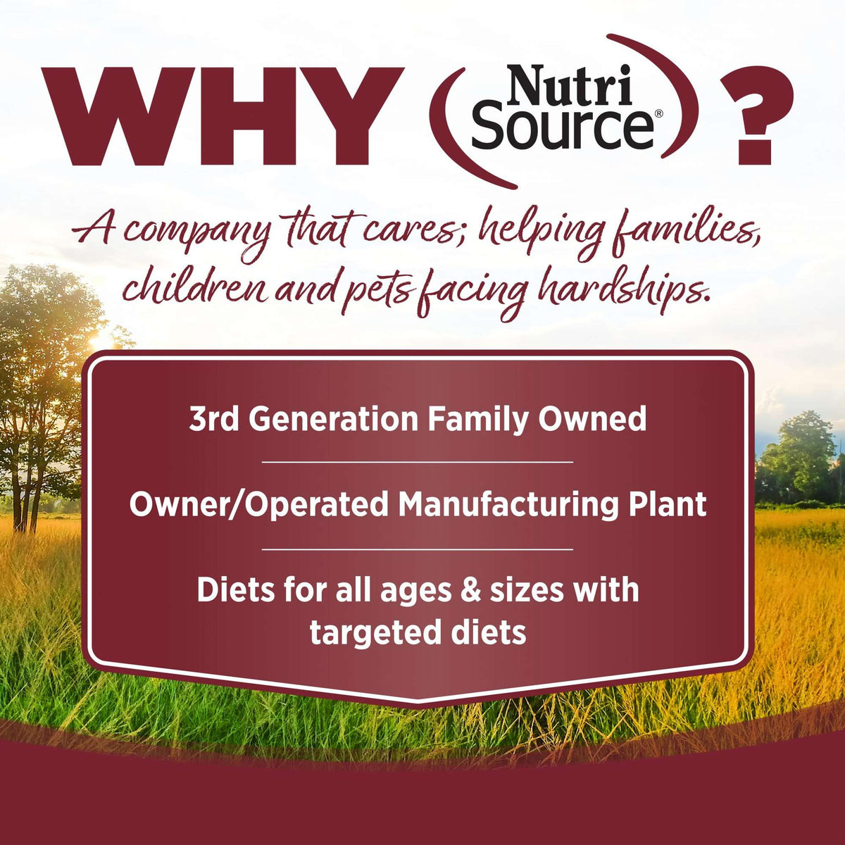 NutriSource Beef &amp; Rice with Wholesome Grains Canned Dog Food