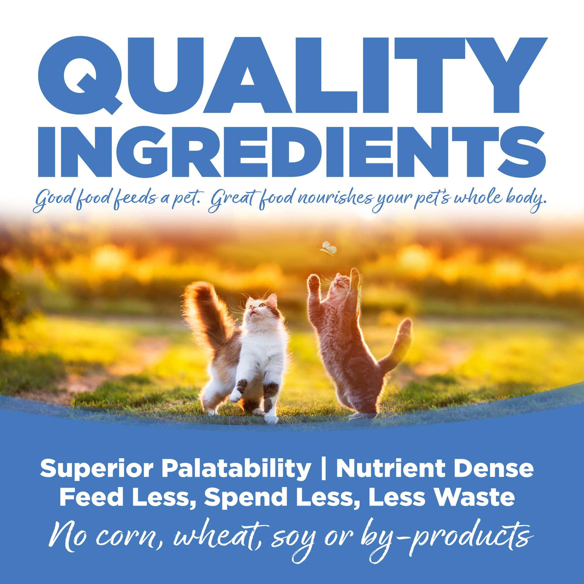NutriSource Chicken Meal, Salmon &amp; Liver Cat &amp; Kitten Food