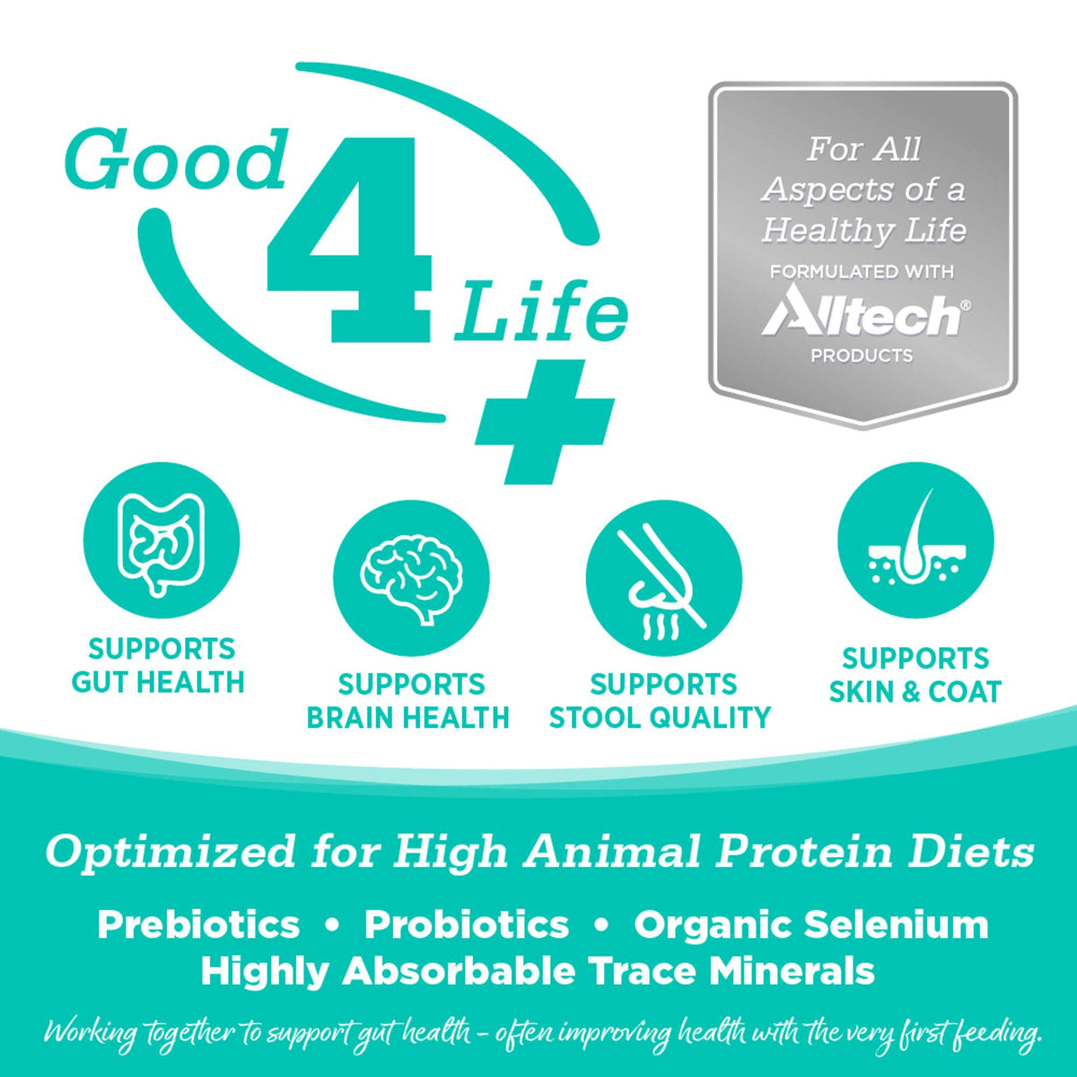 NutriSource Country Select with Chicken &amp; Duck Meal Cat &amp; Kitten Food