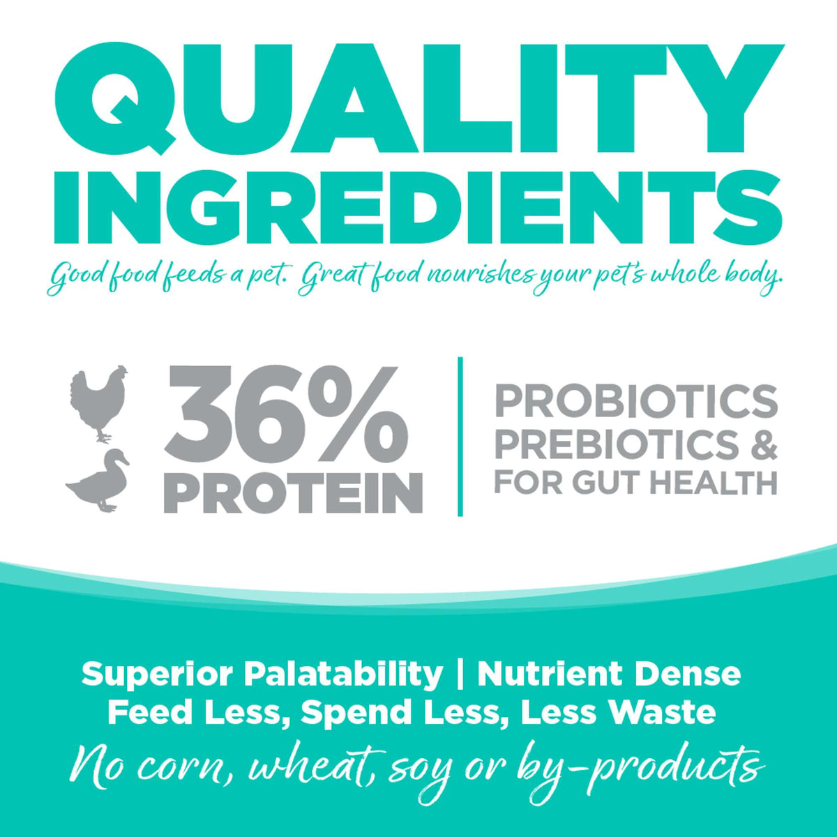 NutriSource Country Select with Chicken &amp; Duck Meal Cat &amp; Kitten Food