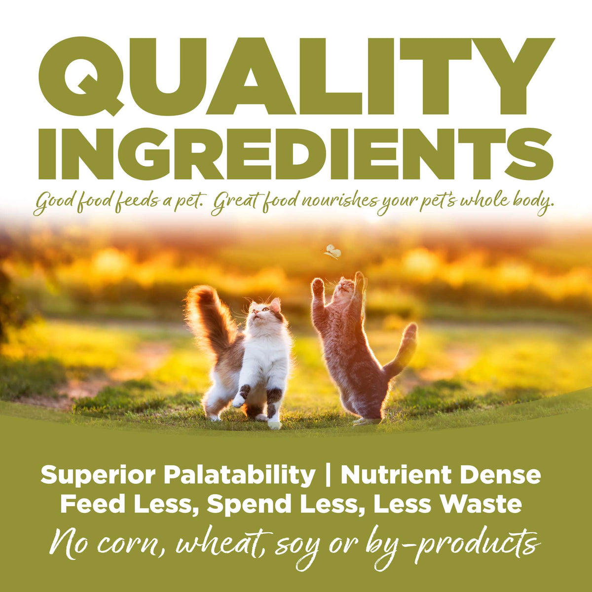 NutriSource Senior/Weight Management Cat Food