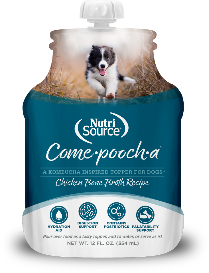 NutriSource Come-Pooch-a Chicken Bone Broth for Dogs