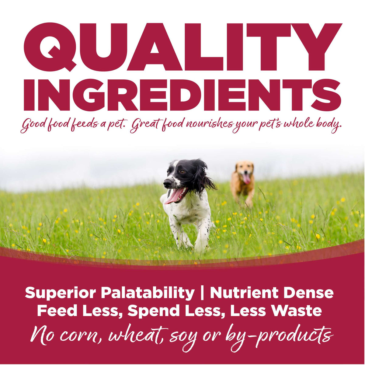 NutriSource Chicken, Lamb &amp; Ocean Fish with Wholesome Grains Canned Dog Food