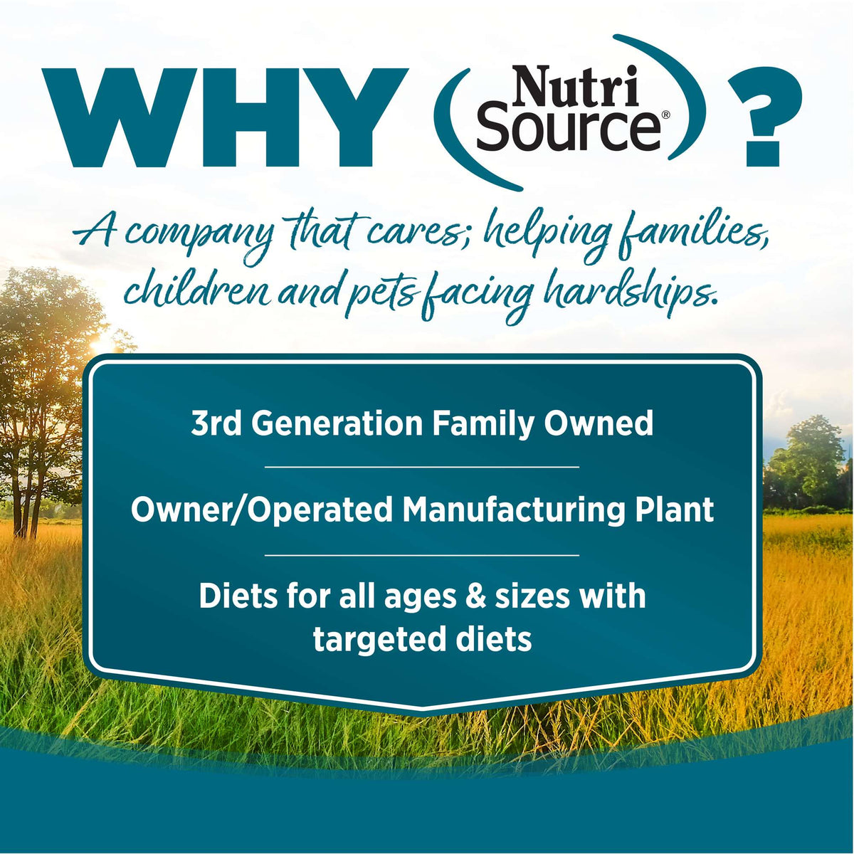NutriSource Grain Free Chicken Recipe Canned Dog Food