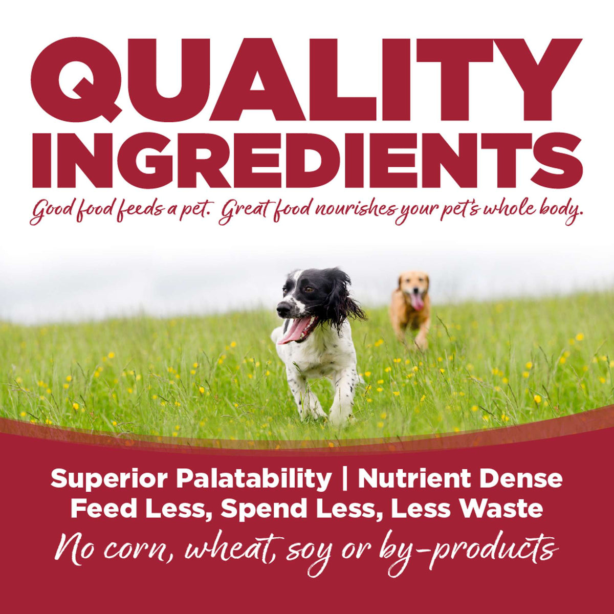 NutriSource Choice Beef Meal &amp; Barley Dog Food