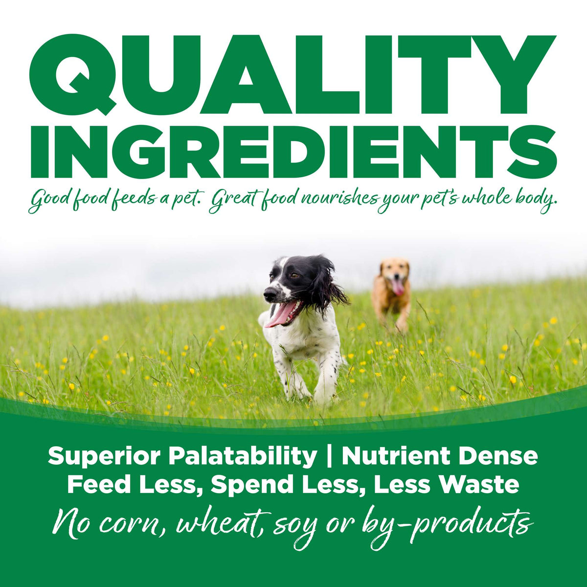 NutriSource Choice Chicken &amp; Barley Dog Food