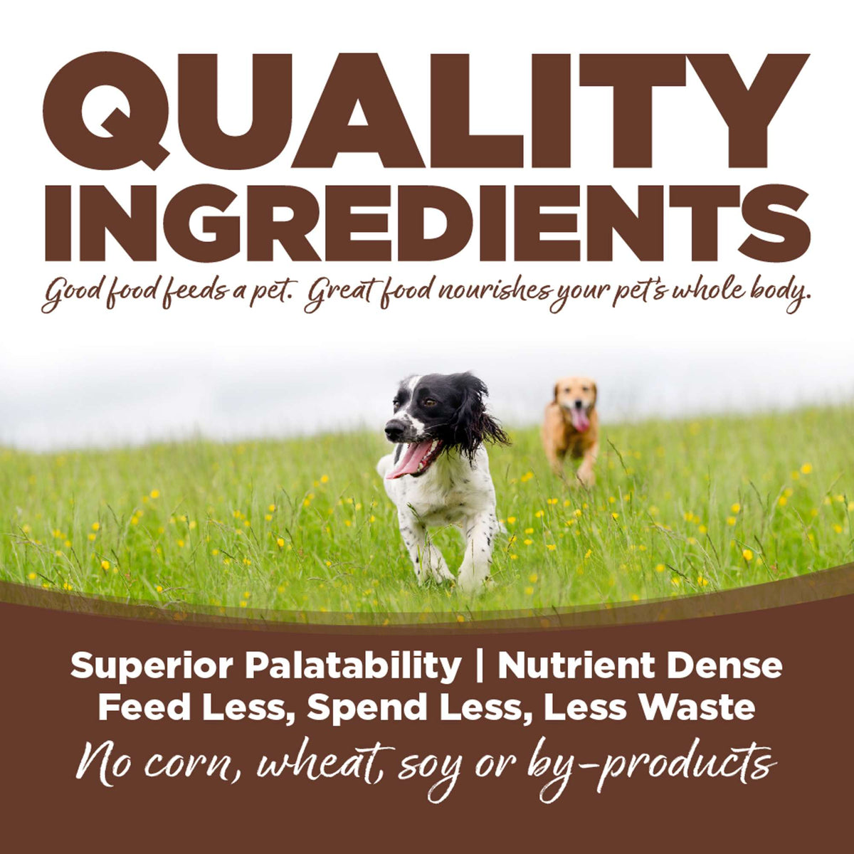 NutriSource Choice Large Breed Beef Meal &amp; Barley Dog Food