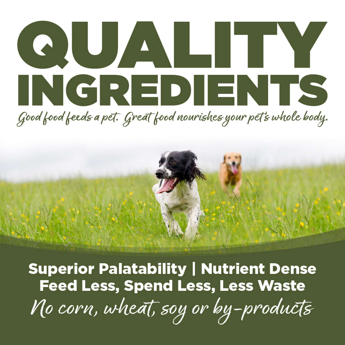 NutriSource Choice Large Breed Chicken Meal &amp; Barley Dog Food