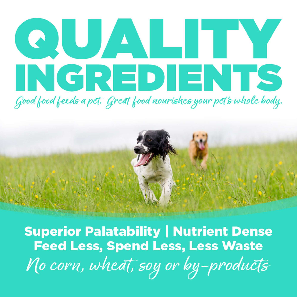 NutriSource Choice Performance Chicken Meal &amp; Barley Dog Food