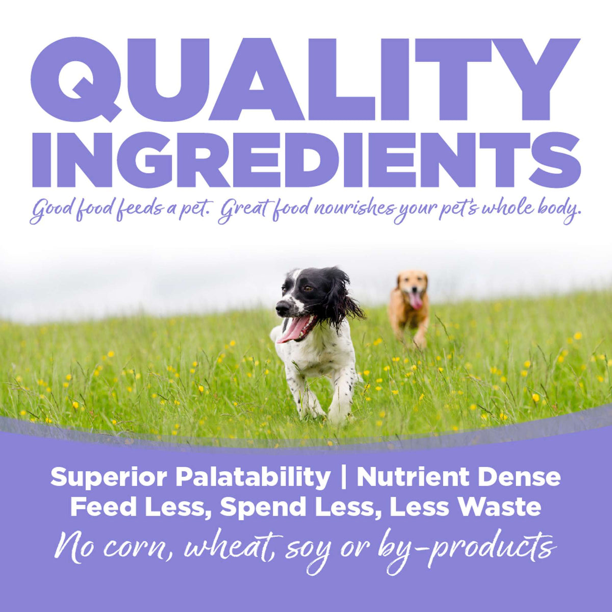 NutriSource Choice Puppy Chicken Meal &amp; Barley Dog Food