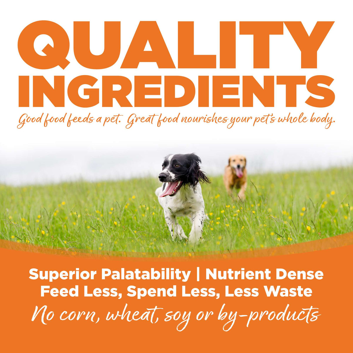 NutriSource Choice Turkey Meal &amp; Barley Dog Food