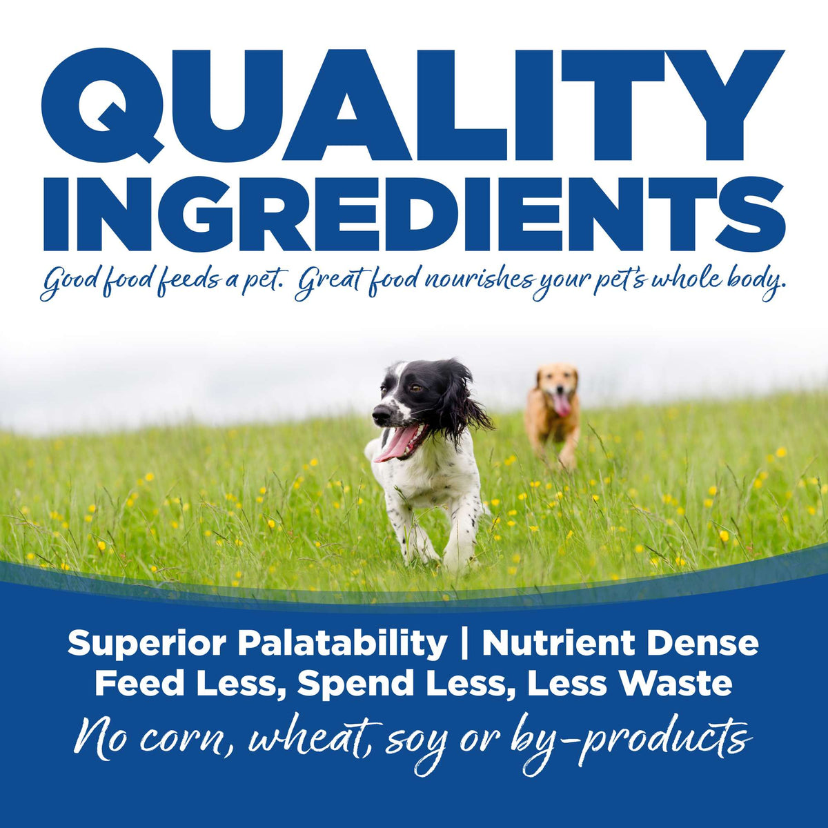 NutriSource Choice Whitefish Meal &amp; Rice Dog Food