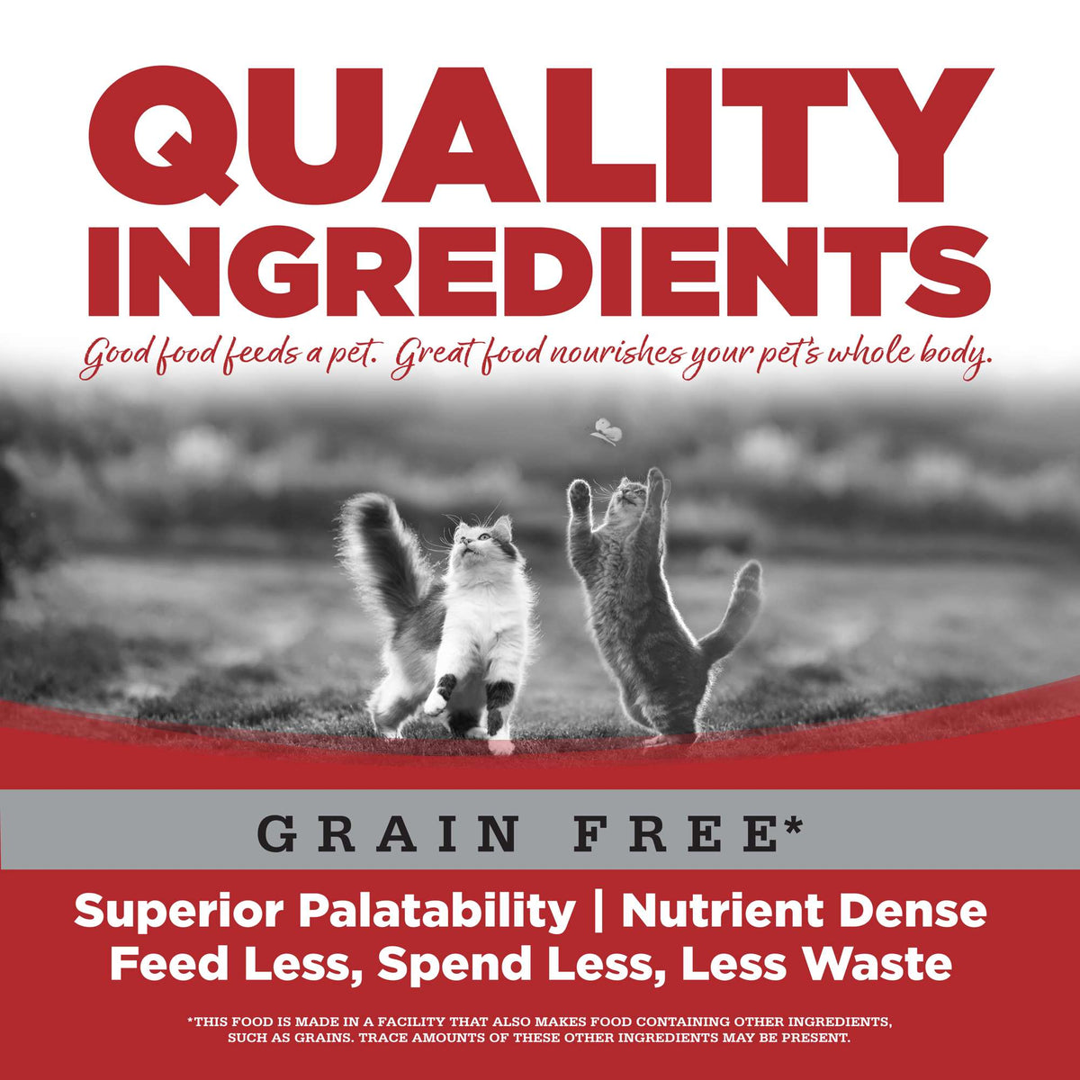 NutriSource PureVita Grain Free Beef Canned Cat Food