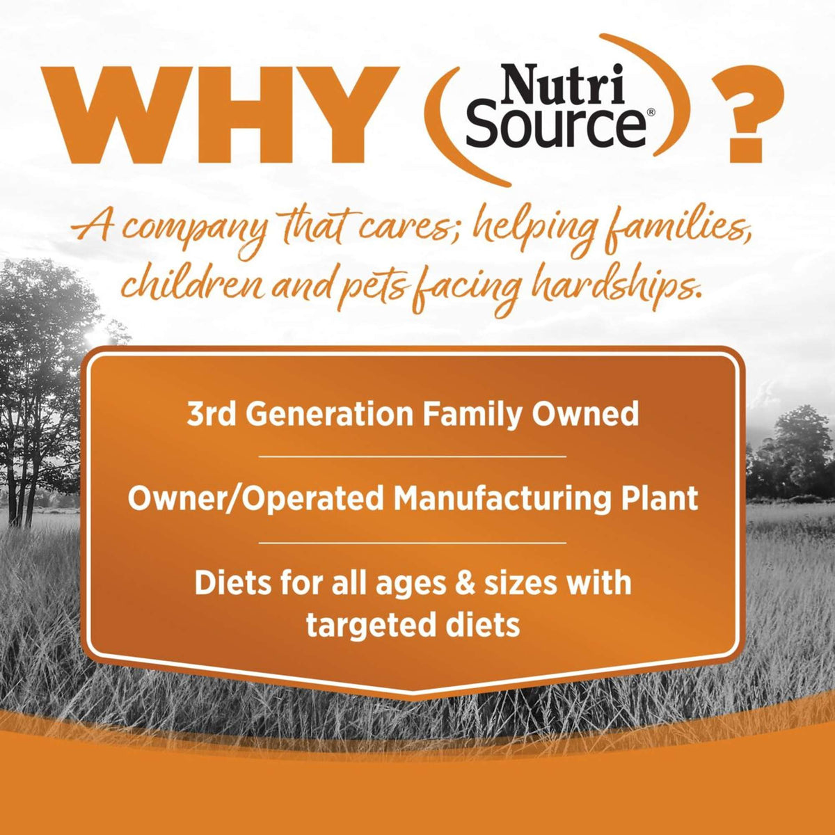 NutriSource Grain Free Lamb Canned Dog Food