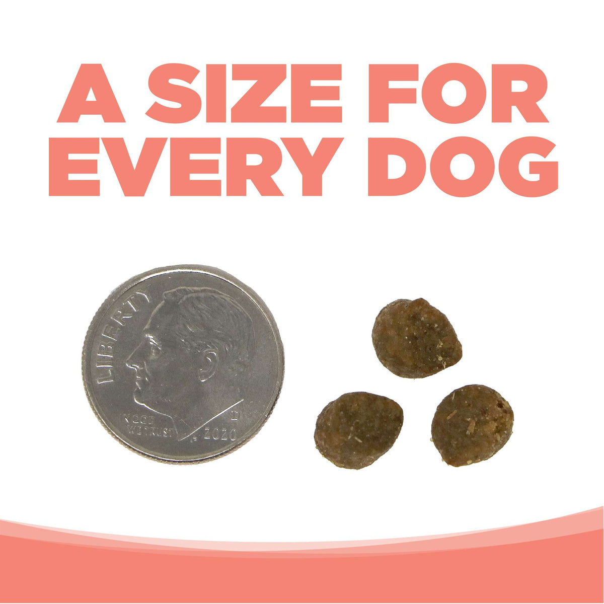 NutriSource Grain Free Small Bites Seafood Select Dog Food