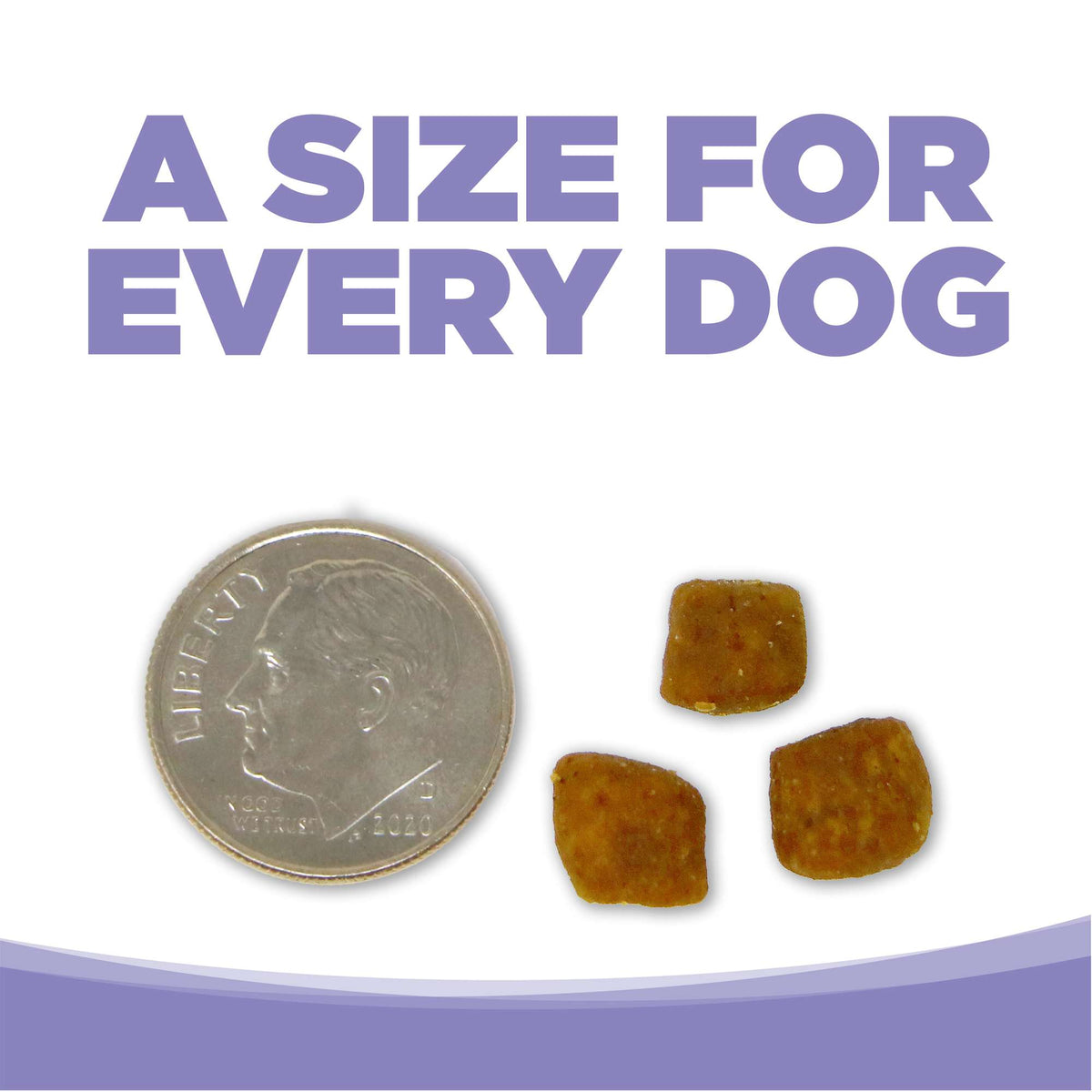 NutriSource Grain Free Small &amp; Medium Breed Puppy Dog Food