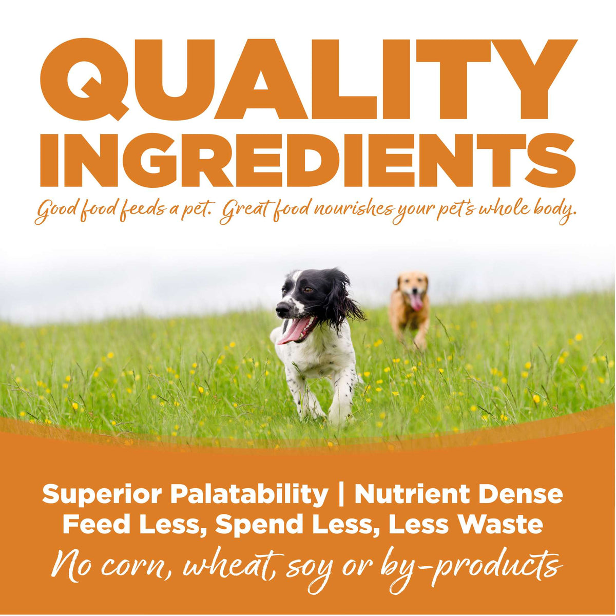 NutriSource Lamb Meal &amp; Rice with Wholesome Grains Dog Food