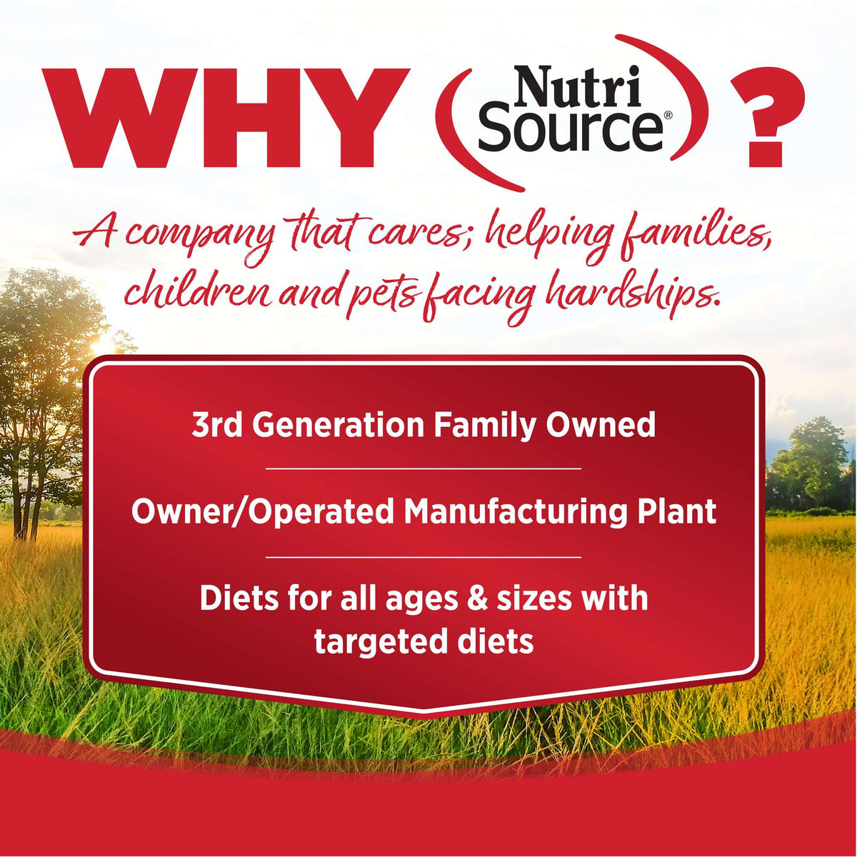 NutriSource Large Breed Beef &amp; Rice with Wholesome Grains Dog Food