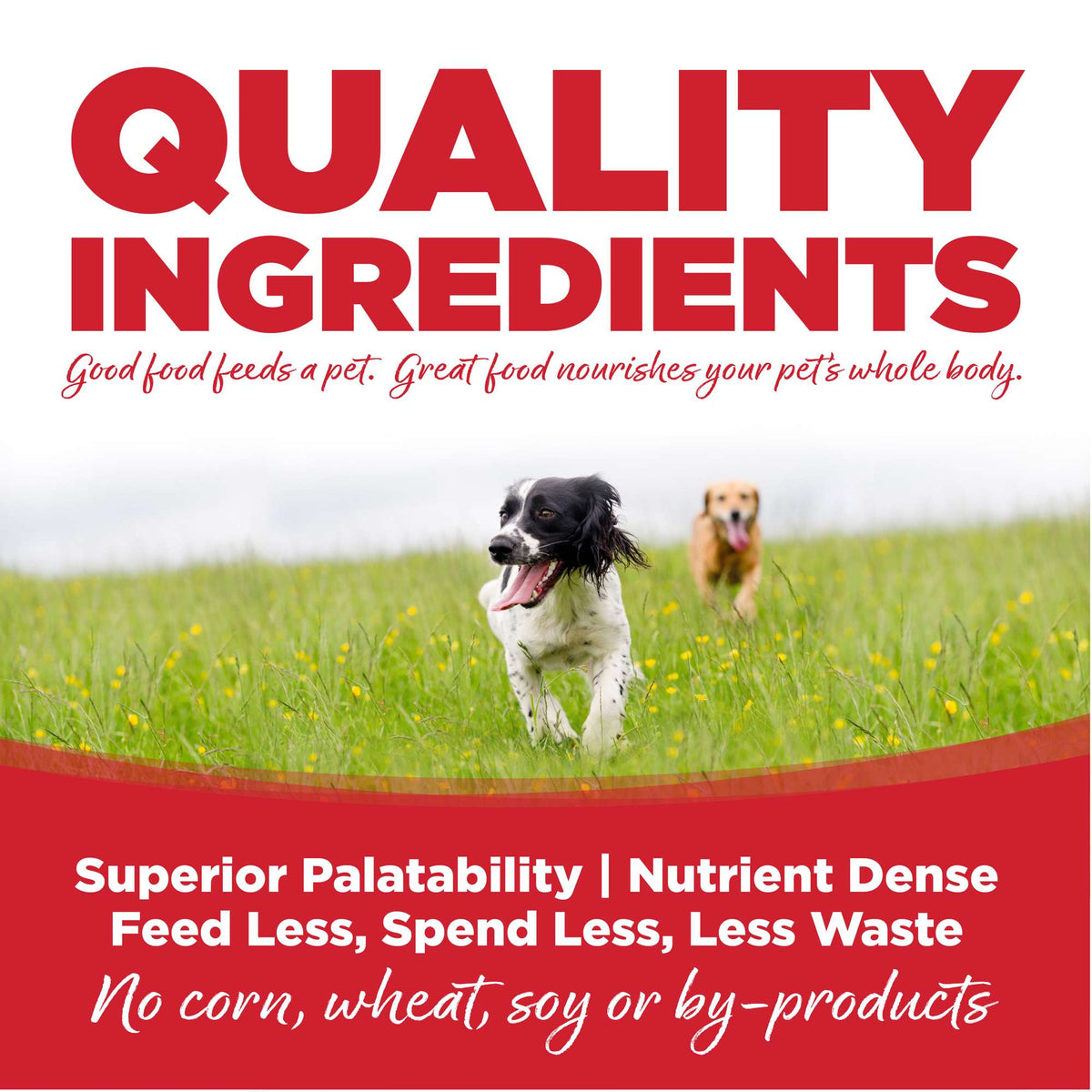 NutriSource Large Breed Beef &amp; Rice with Wholesome Grains Dog Food