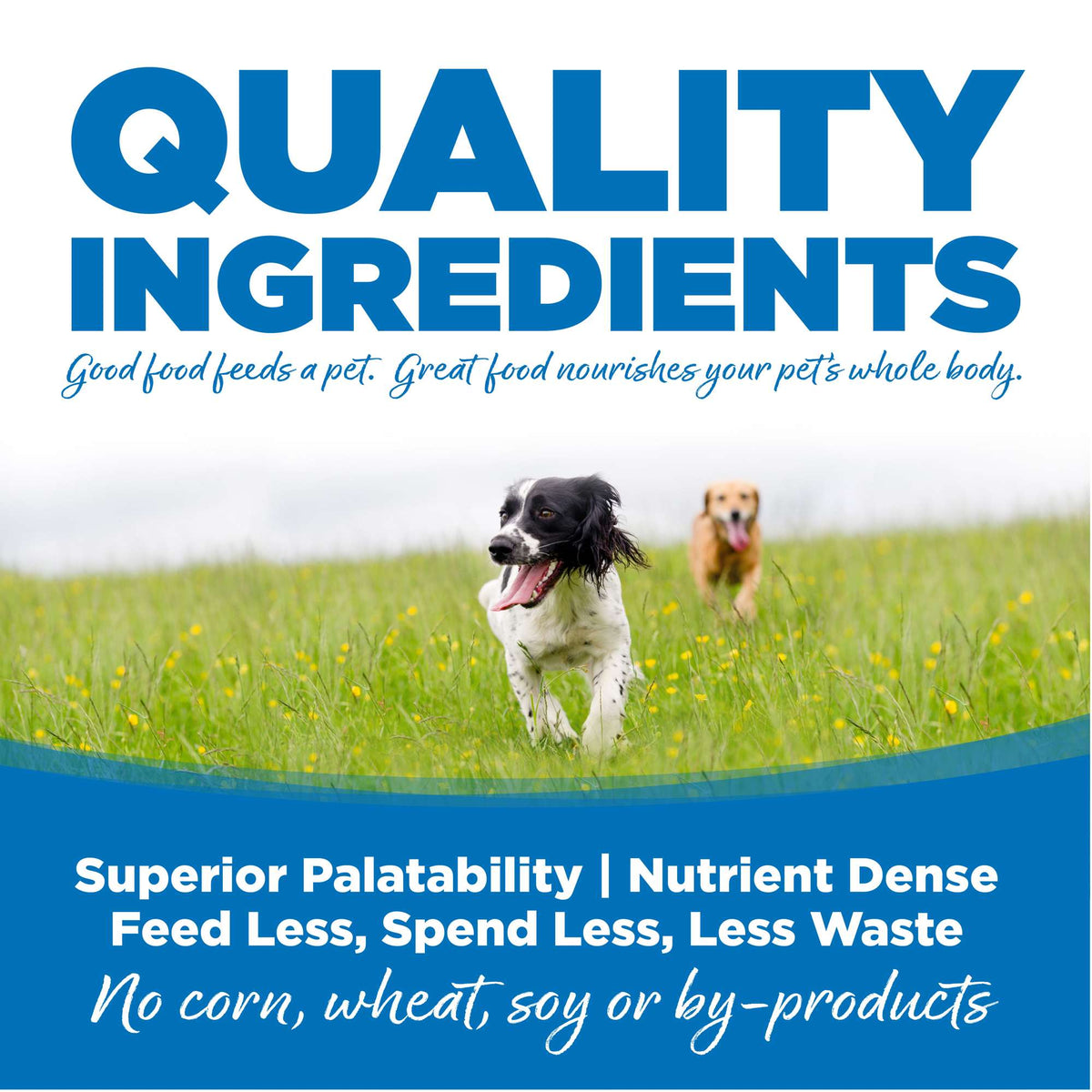NutriSource Large Breed Chicken &amp; Rice with Wholesome Grains Dog Food