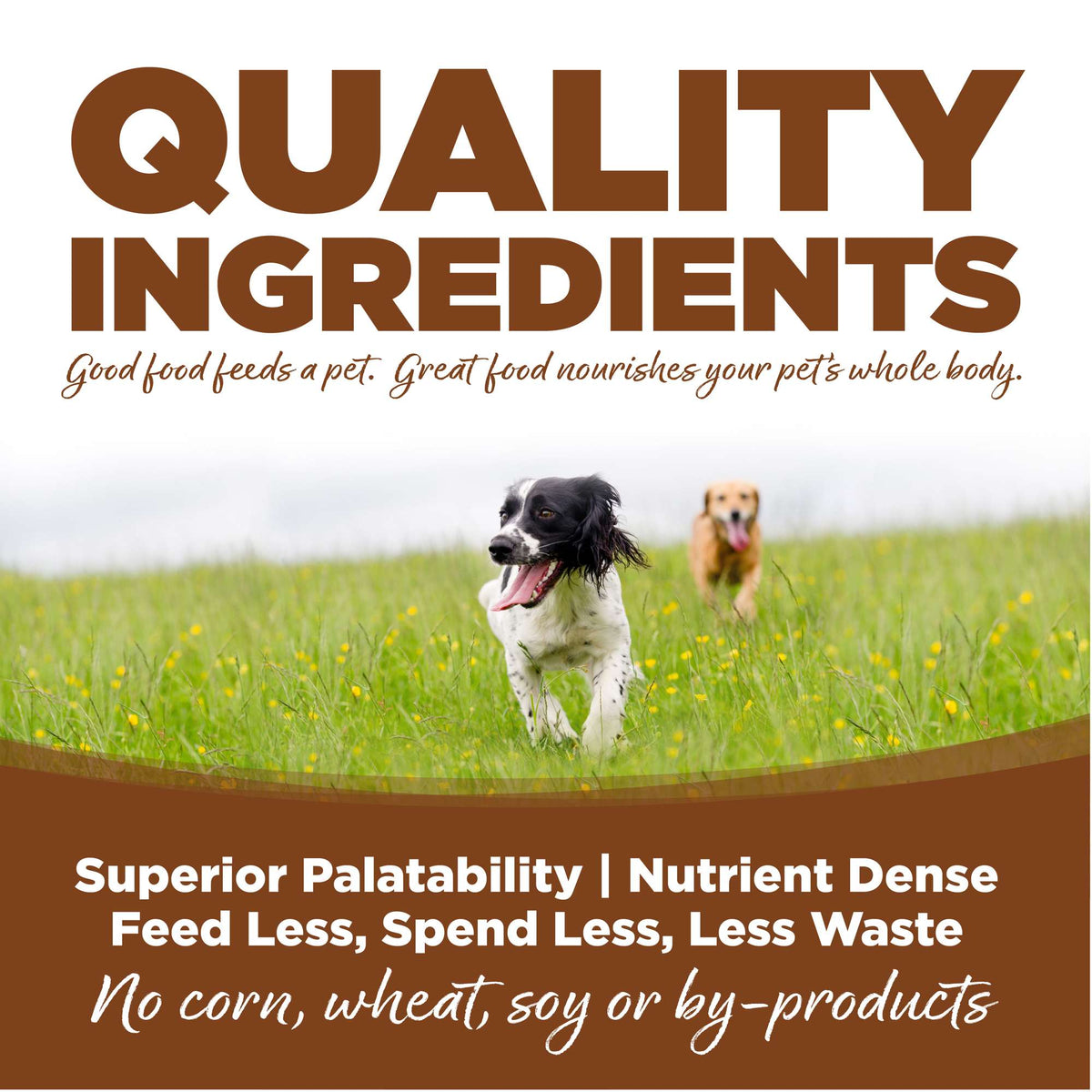 NutriSource Large Breed Lamb Meal &amp; Rice with Wholesome Grains Dog Food