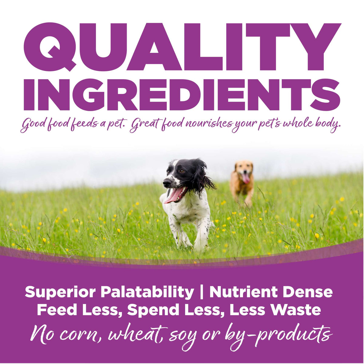NutriSource Large Breed Puppy Chicken &amp; Rice Dog Food